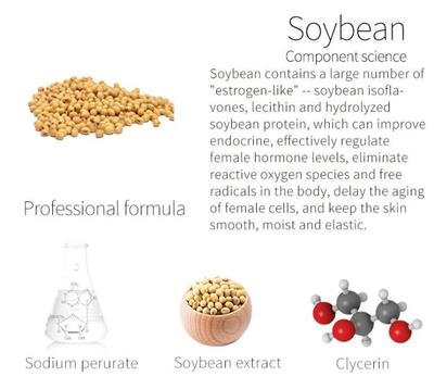 The Powerful Rejuvenating Natural Attributes of the Soybean