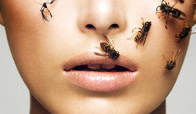 Bee Venom Skin Care