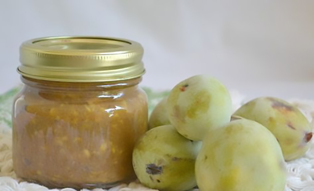 Natural Facial Mask Recipe Natural Facial Mask Recipe