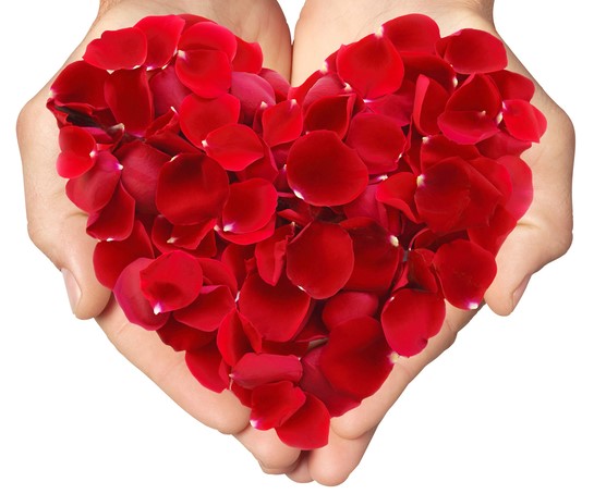 rose-skin-spritzer rose-skin-spritzer