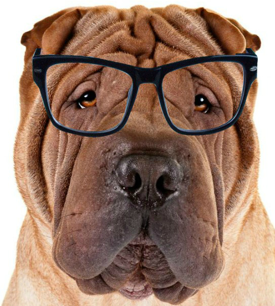 good-skin-care-for-men good-skin-care-for-men