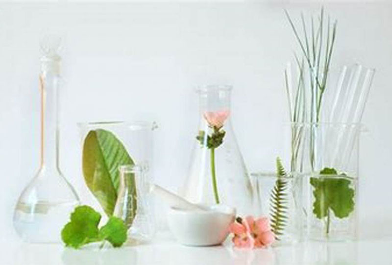 stem-cell-skin-care stem-cell-skin-care