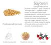 The Powerful Rejuvenating Natural Attributes of the Soybean