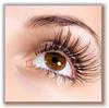 Beautiful Curly Lashes