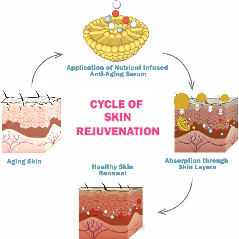 skin-rejuvenation